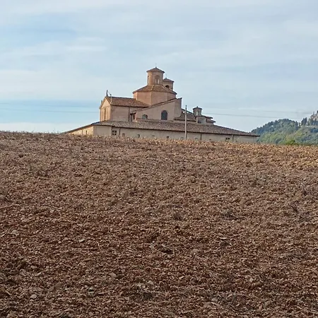Palazzina * אורבניה